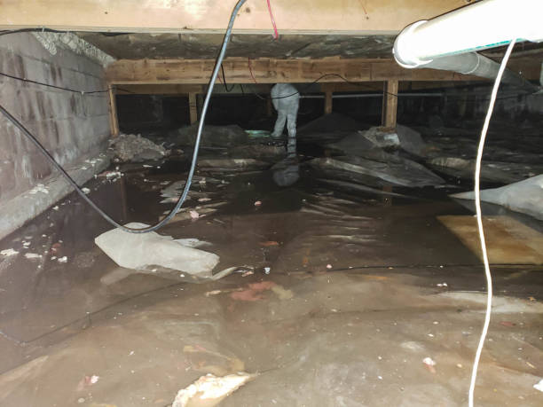 Best Basement Water Damage Restoration in USA